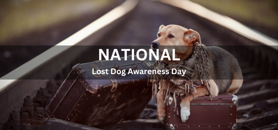 National Lost Dog Awareness Day [राष्ट्रीय खोया कुत्ता जागरूकता दिवस]
